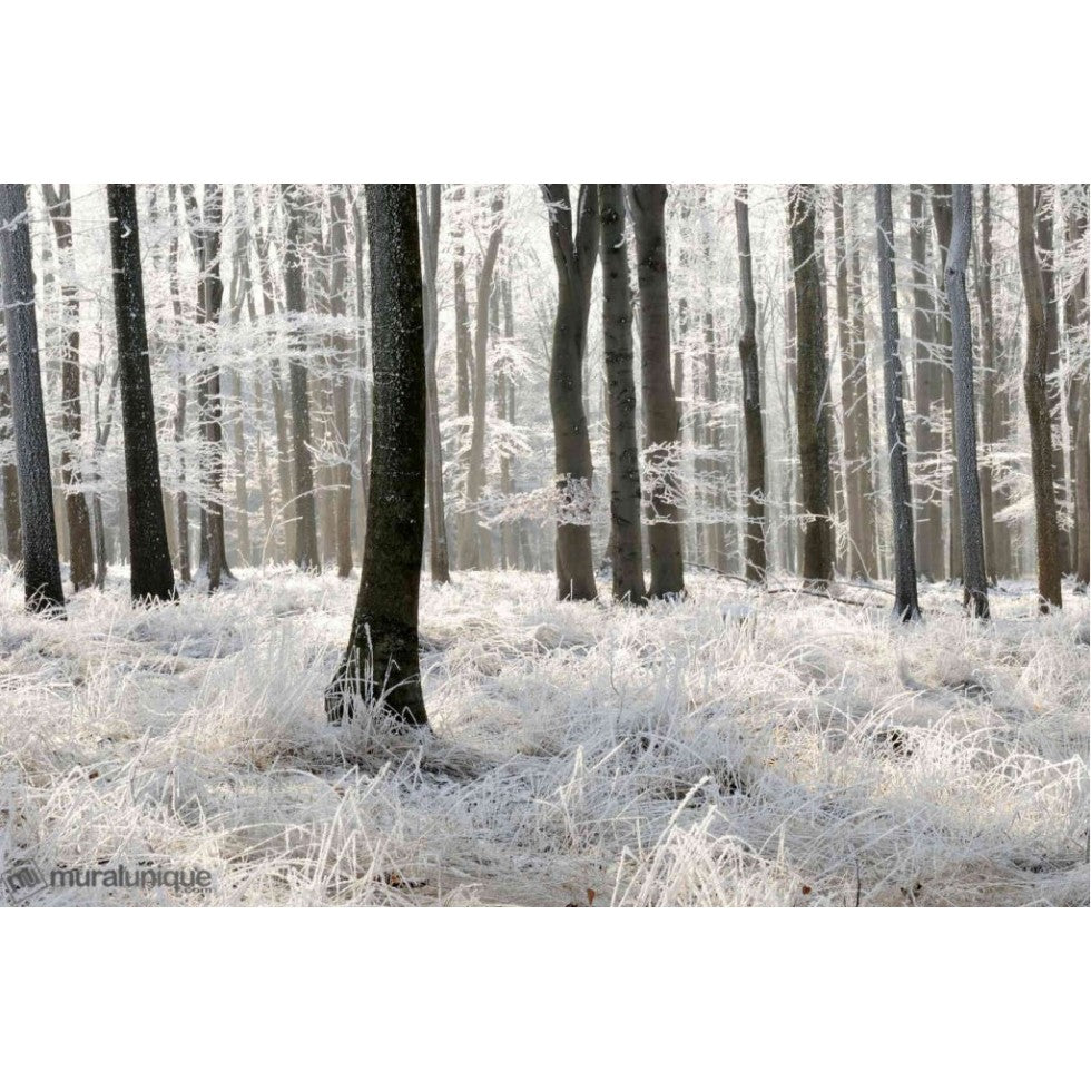 White Forest Mural
