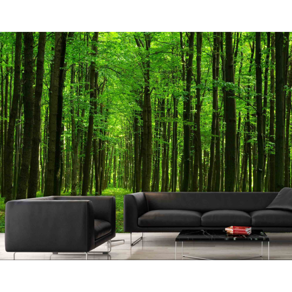 Forest Walk Mural – Panoramic Wallpaper