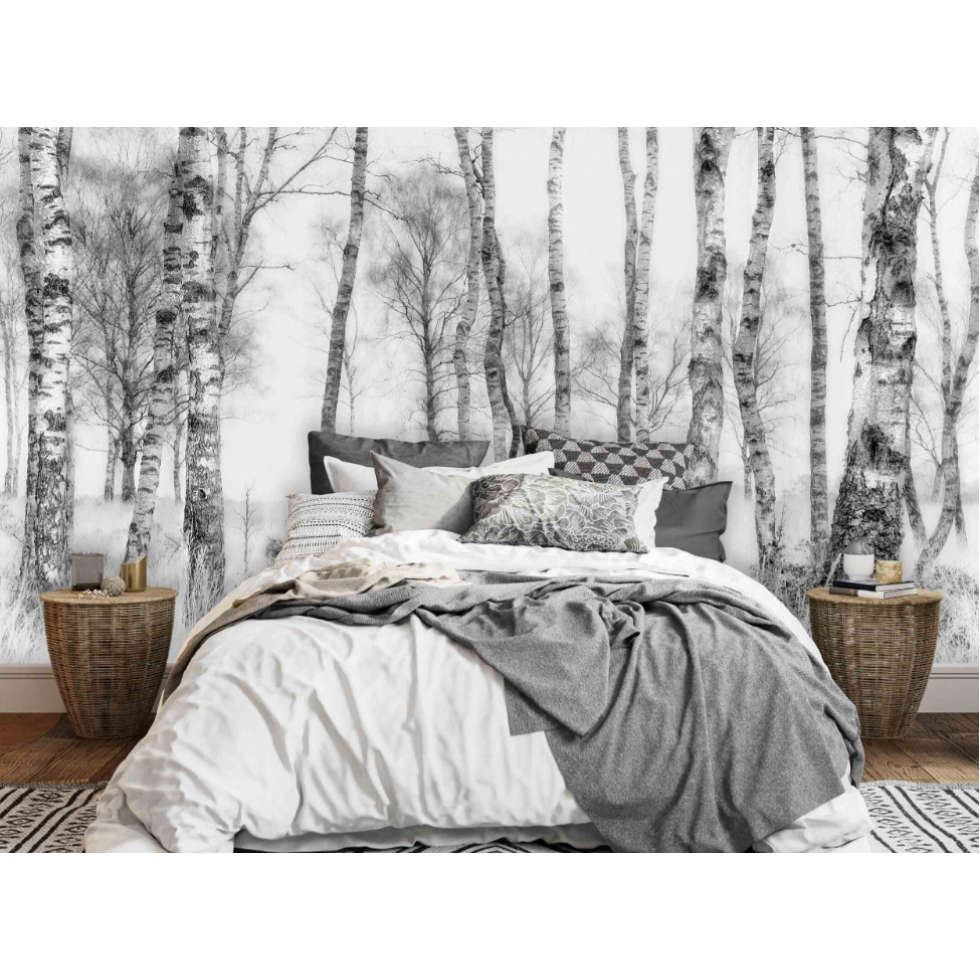 Black & White Birch Forest Mural