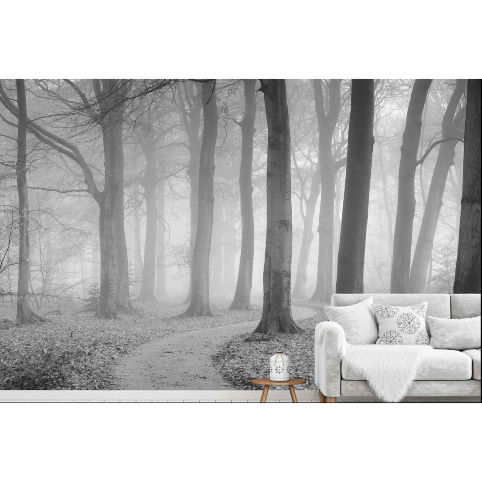 Black and White Winding Path Mural