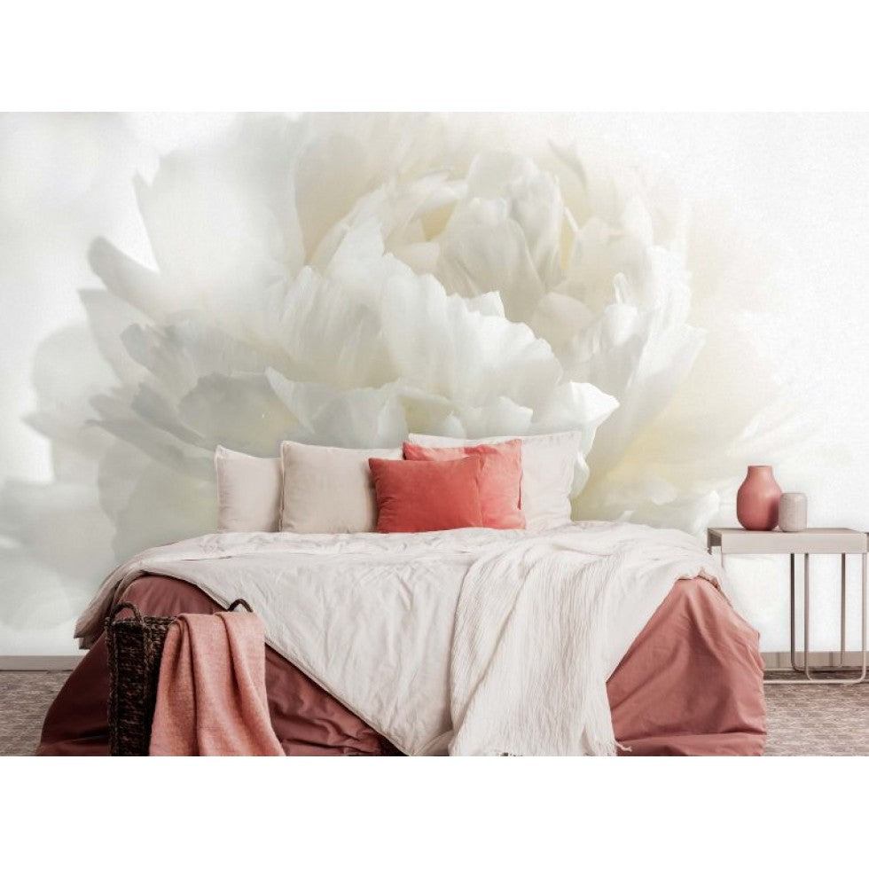 White Softness Mural – Soothing Flower