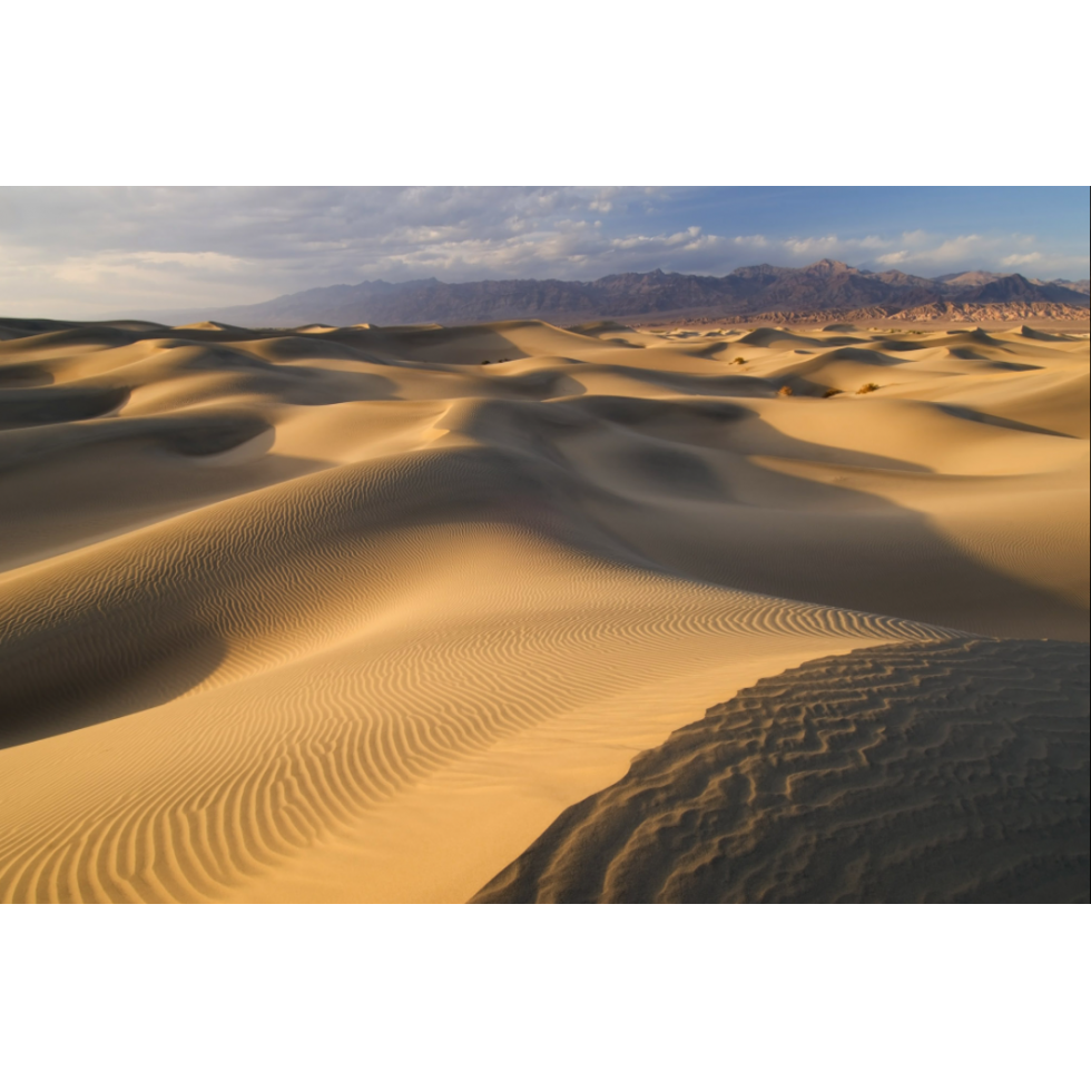 Murale Dunes De Sable