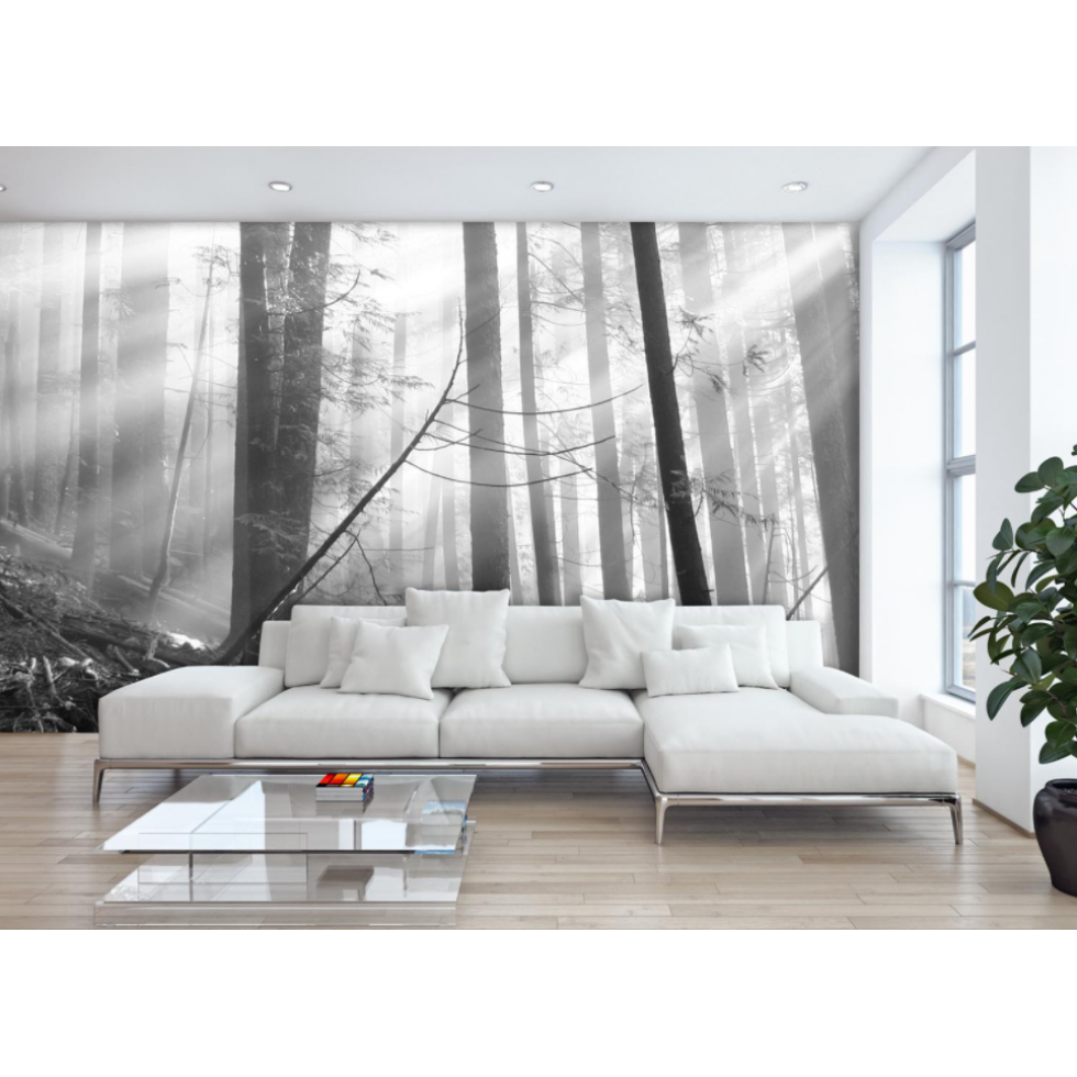 Forest at Dawn Mural