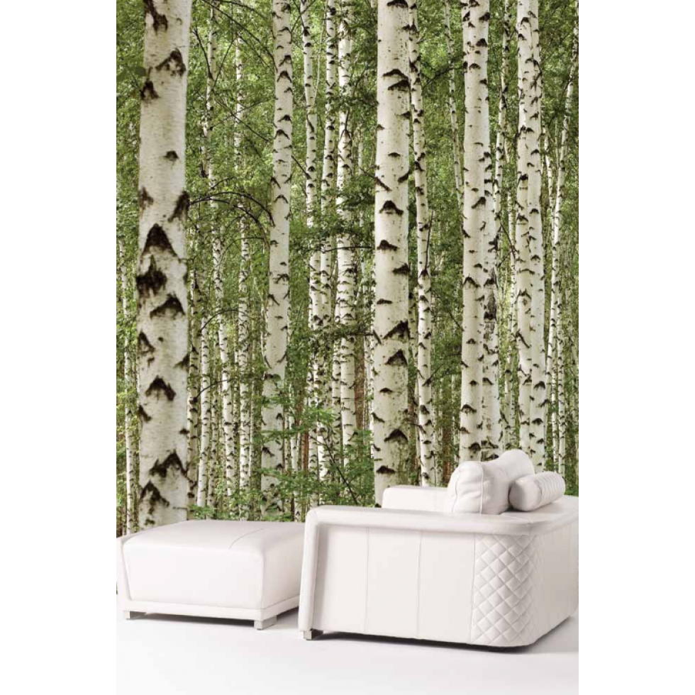 Birch Forest Mural