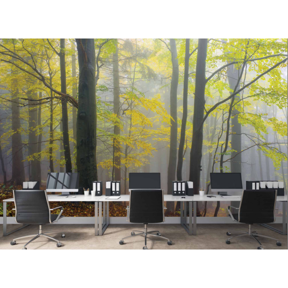 Autumn Morning in the Fog Mural