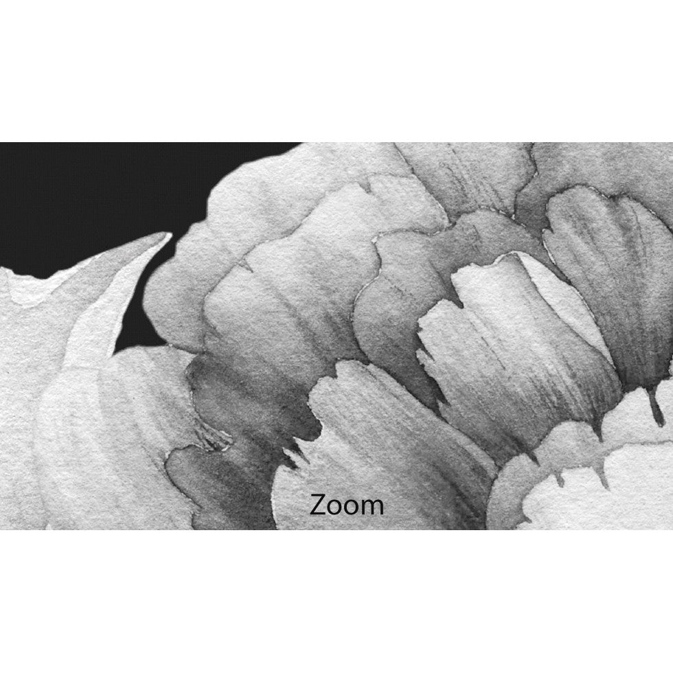 Elegant Black and White Peonies Watercolor Mural