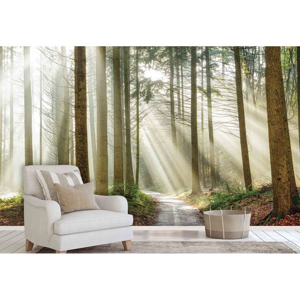 Sunbeams at Dawn Mural