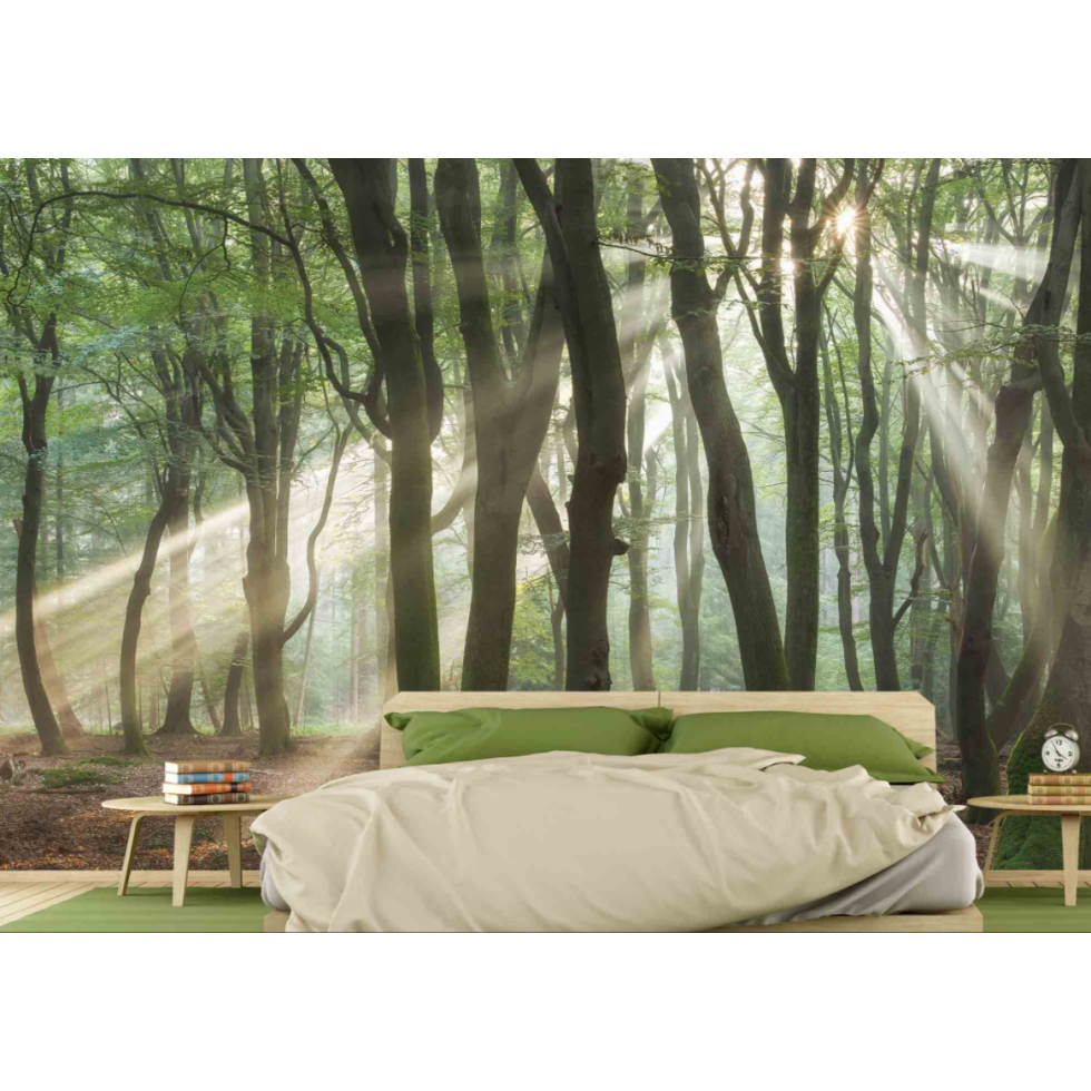 Unusual Rays Mural