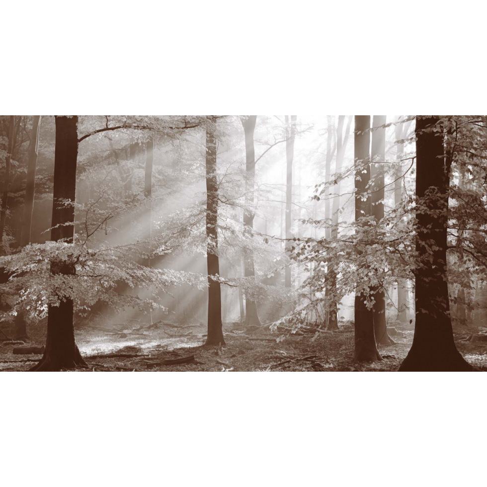 Mural Sinfonia Della Foresta Sepia