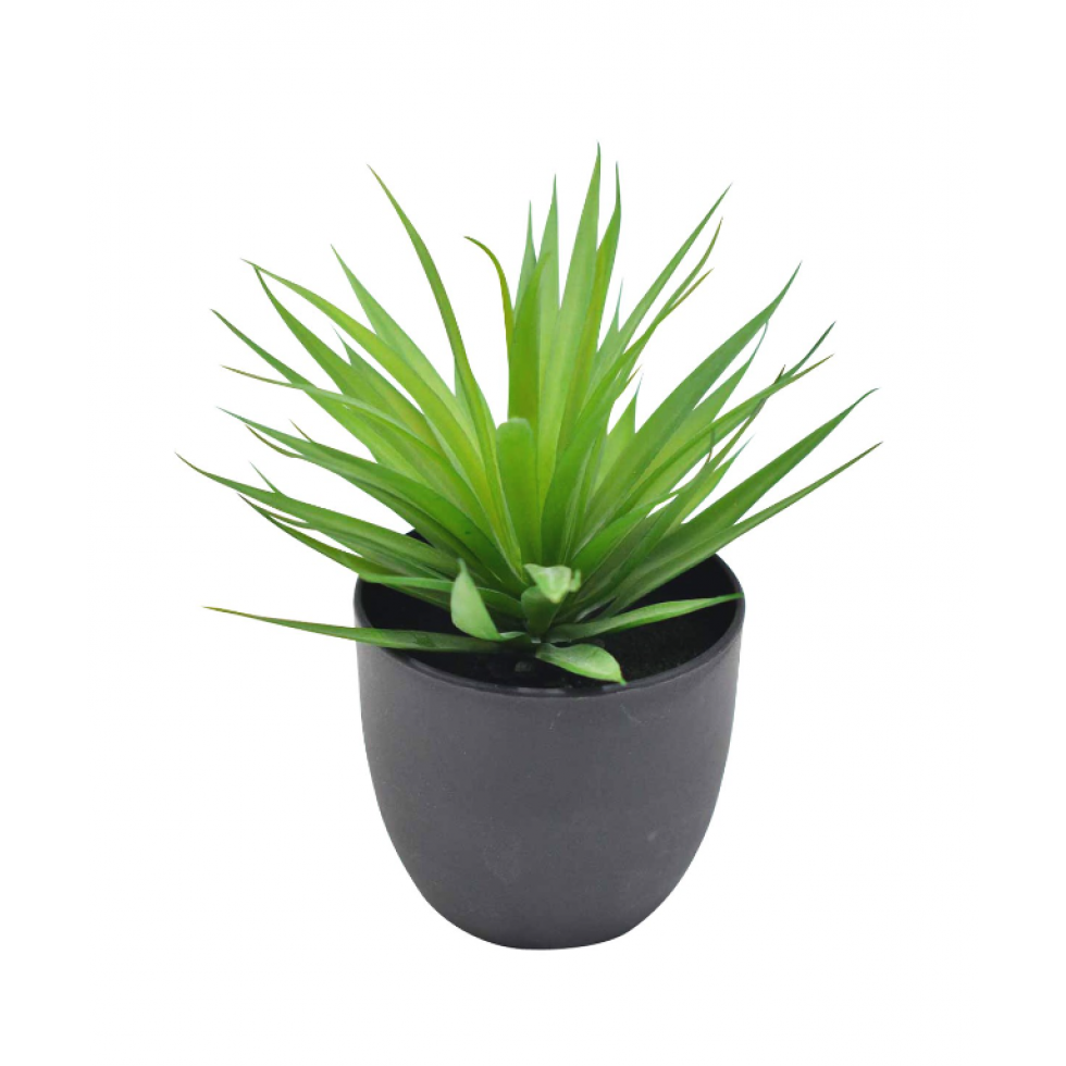 Plante décorative verte en pot noir mat