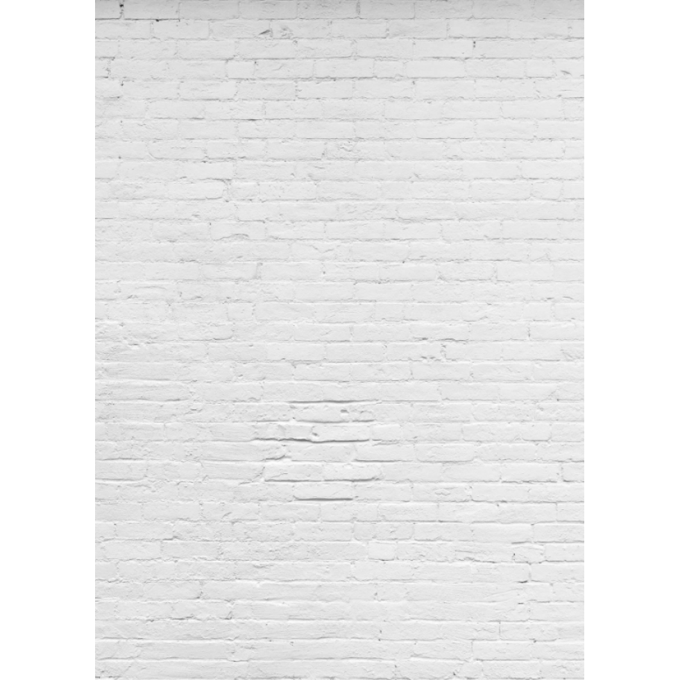 Murale Vieux Mur De Briques Blanches