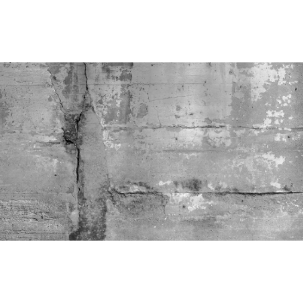 Raw Artistic Concrete Wall Mural