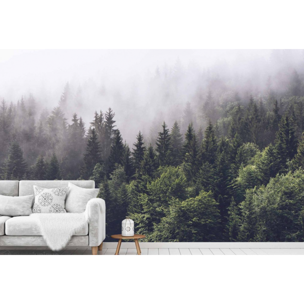 Conifers in the Fog Mural