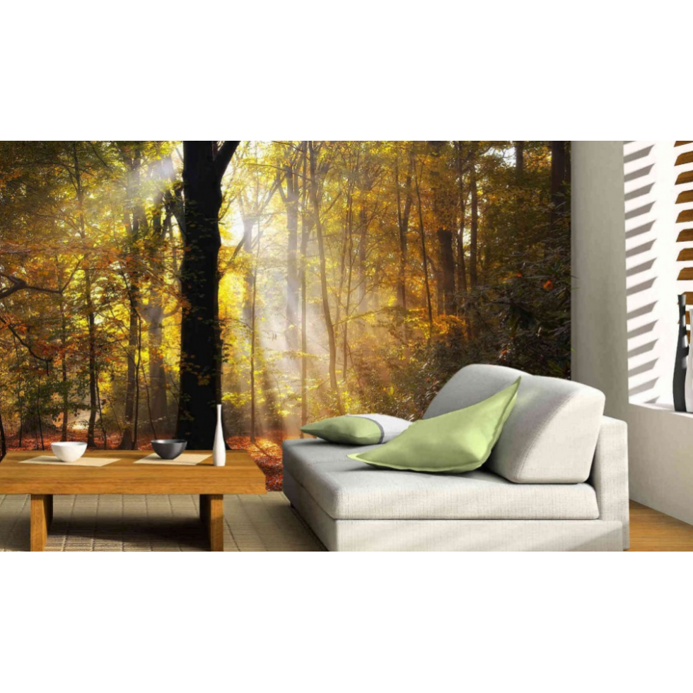 Morning Light Forest Mural