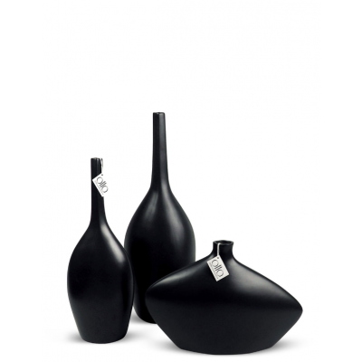Vase Noir Bouteille