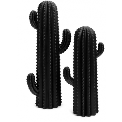 Cactus Nevada