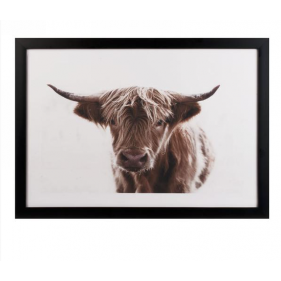 Cadre Vache Highland