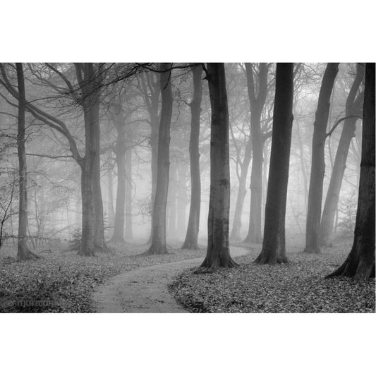 Black and White Winding Path Mural