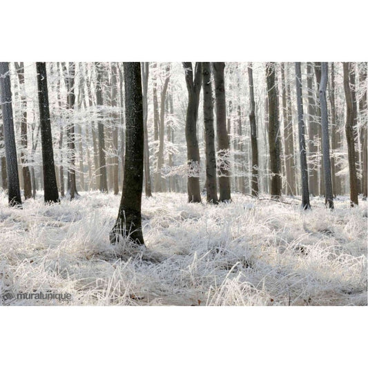 White Forest Mural