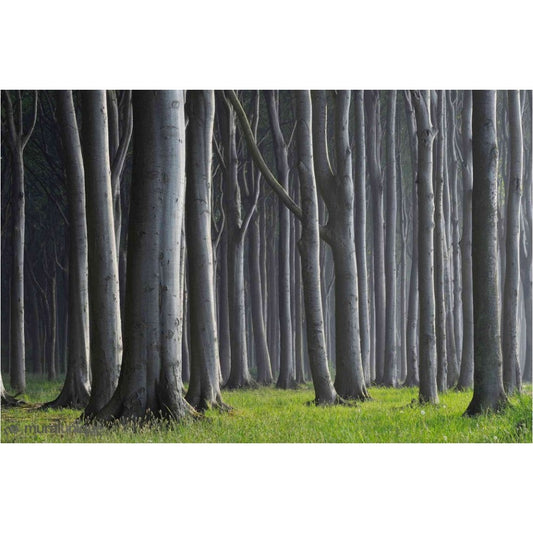Beech Mural or Not Beech Mural