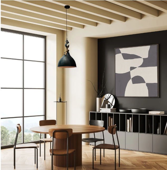 Luminaire suspendu industrielle noire