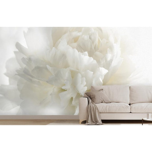 Murale Douceur Blanche – Fleur apaisante