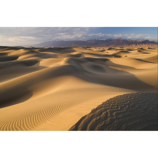 Sand Dunes Mural
