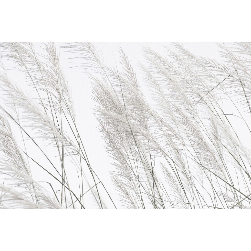 White Herbs Mural – Natural Elegance
