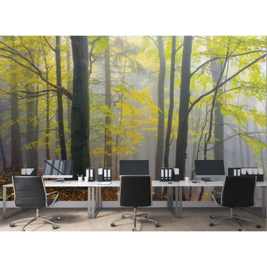 Autumn Morning in the Fog Mural