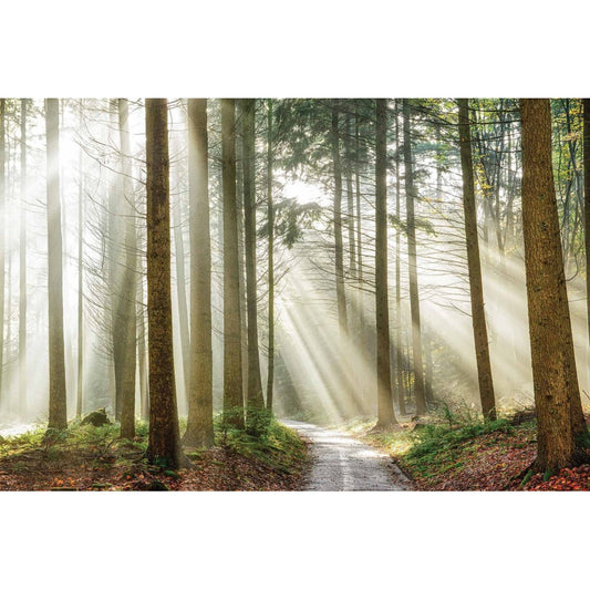 Sunbeams at Dawn Mural