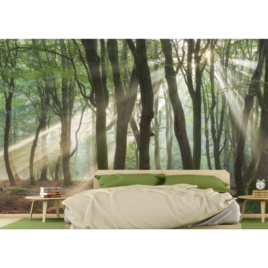 Unusual Rays Mural