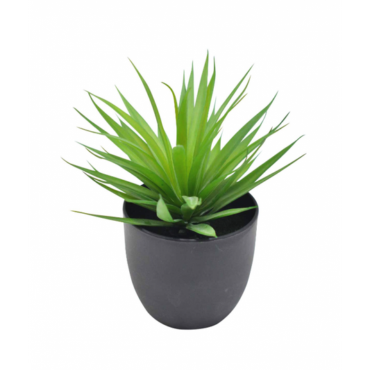 Plante décorative verte en pot noir mat