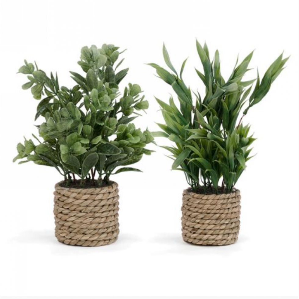 Plante feuillage décorative en pot de rotin