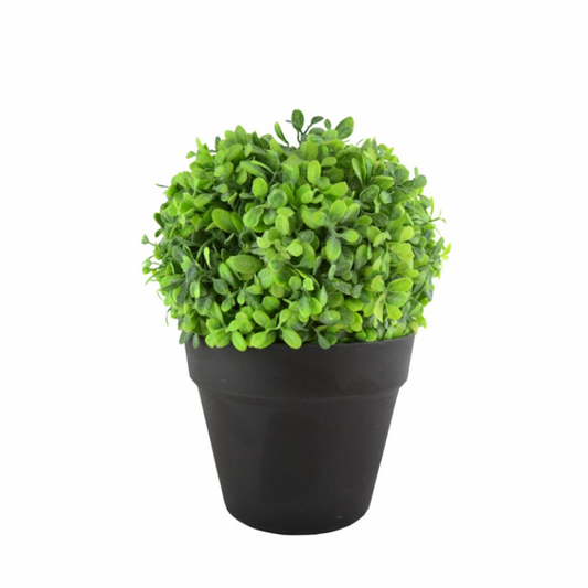 Boule de Verdure en Pot Noir