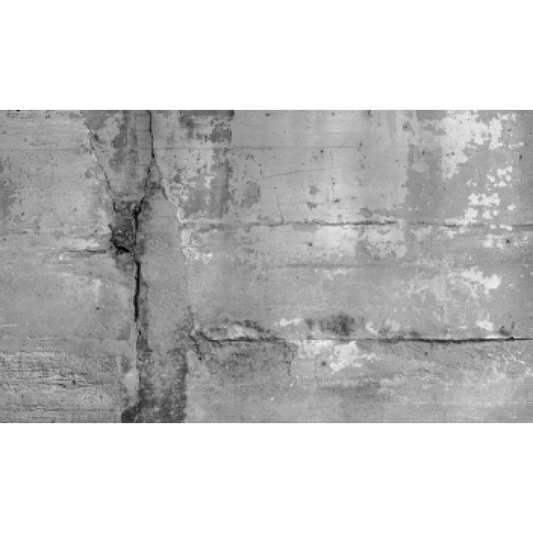 Raw Artistic Concrete Wall Mural
